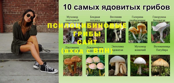 ГАЛЛЮЦИНОГЕННЫЕ ГРИБЫ Алзамай