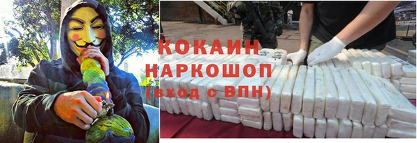 spice Алексин