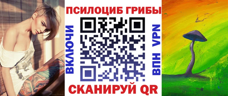 Псилоцибиновые грибы Psilocybe  Томмот 